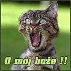 jejda!!