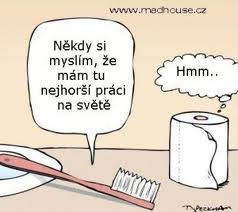kartáček VS. toaleťák
